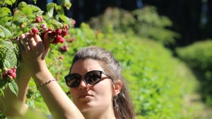 El vivero especializado en la multiplicación de plantas de frutos del bosque