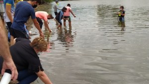 El arduo trabajo de la siembra de truchas en Río Negro