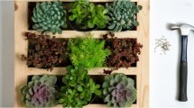 Imagen de Paso a paso, cómo hacer un cuadro verde, el pequeño jardín vertical