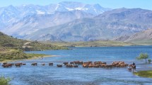 Imagen de 12 fotos del norte neuquino que te van a dar ganas de viajar