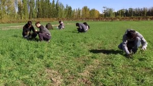 Crece el interés por las ciencias agrarias con casi 170 preinscriptos en la facultad de la UNCo