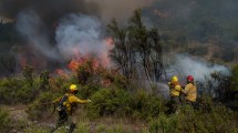 Imagen de El intendente de El Bolsón pide refuerzos para contener el incendio en Cuesta del Ternero