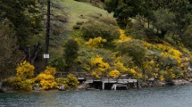 Imagen de Bariloche sale a relevar los muelles y alambrados del lago Moreno