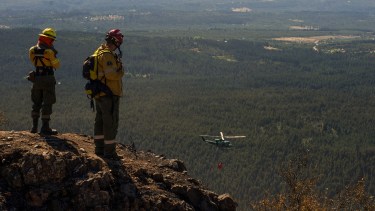 El incendio forestal en Cuesta del Ternero afectó unas 7800 hectáreas. Foto: archivo