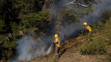 El incendio forestal comenzó el 24 de enero pasado en un lote ubicado en el barrio El Mirador, a unos 12 kilómetros de El Bolsón, y se expandió rápidamente. (foto archivo)