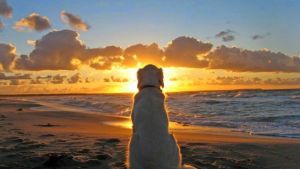 Pronóstico: vuelve el sol este martes en la región y aumentan las máximas