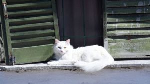 Pronóstico: este jueves se nubla un poco en la región