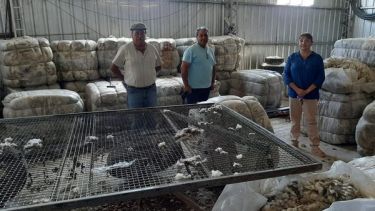 La ingeniera Miriam López, asiste técnicamente a pequeños productores de la zona de Valcheta. Foto: gentileza.