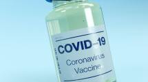 Imagen de El INTA de Bariloche dará los primeros pasos hacia una vacuna contra el coronavirus