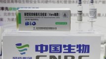 Imagen de Vizzotti autorizó de emergencia la vacuna china de Sinopharm: llegarían un millón de dosis