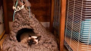 Pronóstico: así empieza marzo este lunes en la región