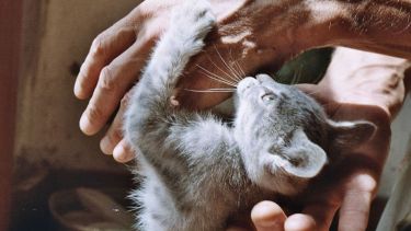 Pronóstico: ¿Asoman las tormentas este viernes en la región?