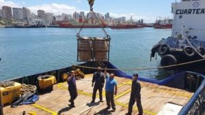 Increíble: robaron 600 litros de cerveza del fondo del mar en Mar del Plata