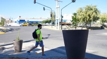 Imagen de Gaido gastó casi cuatro millones de pesos en macetas