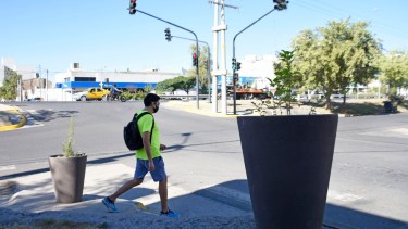 Una cooperativa  fue la ganadora de la compulsa por los macetones. No se informó sobre los otros 7 oferentes que se presentaron. (FOTO: Florencia Salto)