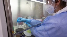 Imagen de Murió un joven en Bariloche  y esperan la confirmación si trató de hantavirus