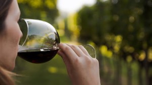 El consumo de vino en Argentina creció pese a la pandemia