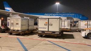 Llega esta noche el avión con dosis de Sinopharm para vacunar a los docentes