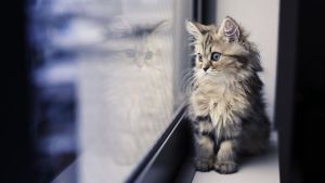 Pronóstico: asoma un miércoles inestable en la región