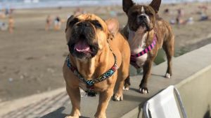 Pronóstico: este jueves llegan los chaparrones a la región