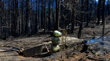 Imagen de Los incendios en Chubut terminarán causando una escalada de casos de coronavirus