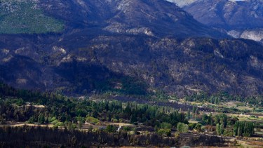 Los incendios se produjeron el 9 de marzo pasado. Foto: archivo