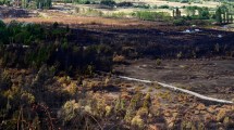 Imagen de Murió un poblador que había sufrido quemaduras en los incendios de Chubut