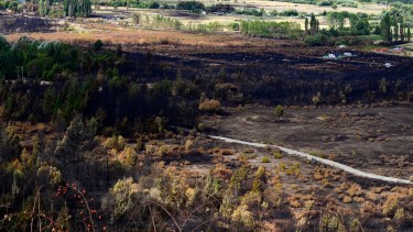 El proyecto de ley ya tiene media sanción. Foto: archivo
