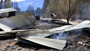 Incendios en la comarca andina: Senado dio media sanción a la emergencia en Chubut y Río Negro
