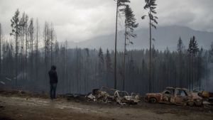 Cabandié aseguró que un equipo de peritos investigará el origen del incendio en la Patagonia