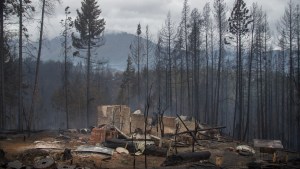 Llevan atención médica y psicológica a los damnificados por los incendios en la Comarca Andina