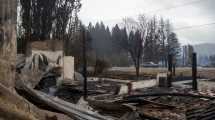 Imagen de Incendios en la Patagonia: «La angustia no es por tu familia sino por tu comunidad que está bajo amenaza de muerte»