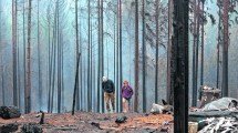 Imagen de Incendios en Chubut: no hay datos de que las llamas se hayan provocado, ni sospechosos