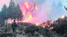 Imagen de Más de 200 brigadistas combaten el incendio en El Pedregoso, a 7 kilómetros de El Hoyo