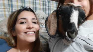 Vilma, vive junto a otros cuatro perros y tres gatos.  Camila y Xiomara son sus dueñas.  Foto: Gentileza