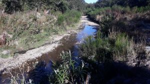 Confirmaron que se vertieron efluentes cloacales en un arroyo de La Angostura