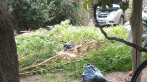 Secuestraron drogas y armas en Allen