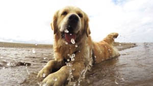 Pronóstico: la semana termina cálida y soleada en la región