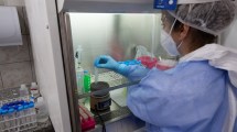 Imagen de Un muerto y 155 casos nuevos de coronavirus en Río Negro