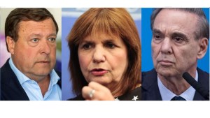 Incendios en la cordillera: mapuches denuncian a Weretilneck, Bullrich y Pichetto por discriminación