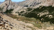 Imagen de Buscan apoyo para proteger al mallín cercano al Refugio Frey