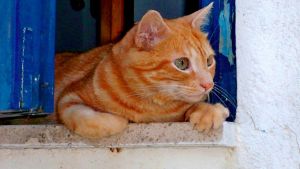 Pronóstico: ¡No te desabrigues! Así llega este viernes en la región