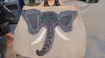 Imagen de Por qué los autoconvocados de Salud de Neuquén eligieron un elefante como símbolo de protesta
