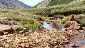 El proyecto para proteger el mallín en el Refugio Frey obtuvo financiamiento europeo
