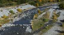 Imagen de Bariloche se prepara para un verano con  emergencia hídrica