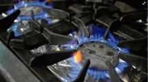 Imagen de Postergan la suba del gas hasta mediados de mayo