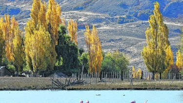 Aluminé cerró su vertedero a orillas del lago Ruca Choroy en 2018. Foto: archivo Florencia Salto.