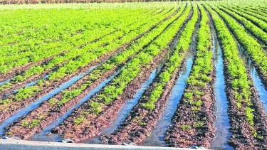 Un proyecto de agua para el desarrollo del sur de Río Negro