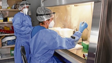 El Laboratorio Central de Neuquén  detectó presencia de la variante Delta. (archivo Florencia Salto)