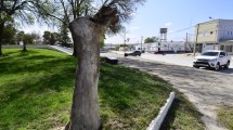 Imagen de Renovarán una céntrica plaza de Godoy con fondos aportados por Nación